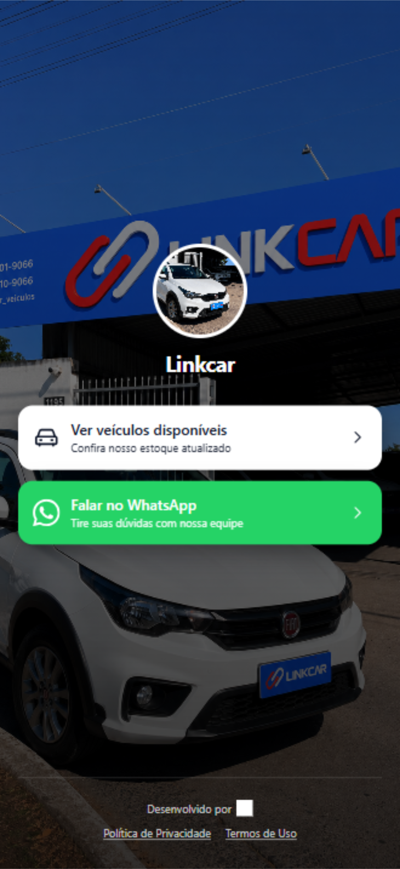 Página de entrada de uma loja no Linkcar